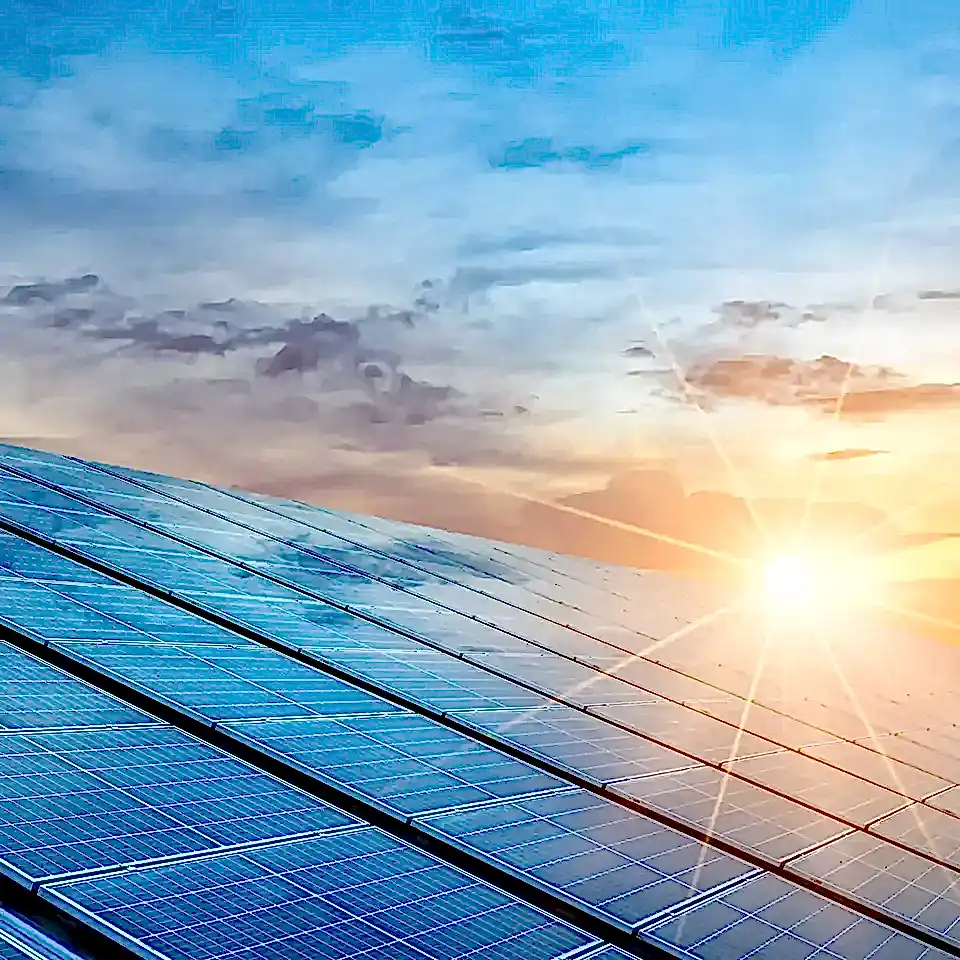 Harnessing Solar Energy at Lineadecor